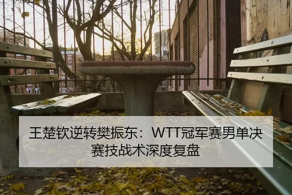 wang-chu-qin-ni-zhuan-fan-zhen-dong-guan-jun-sai-nan-dan-jue-sai-ji-zhan-shu-shen-du-fu-pan-2-579.jpg