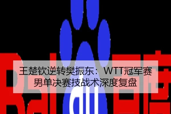 wang-chu-qin-ni-zhuan-fan-zhen-dong-guan-jun-sai-nan-dan-jue-sai-ji-zhan-shu-shen-du-fu-pan-3-472.jpg