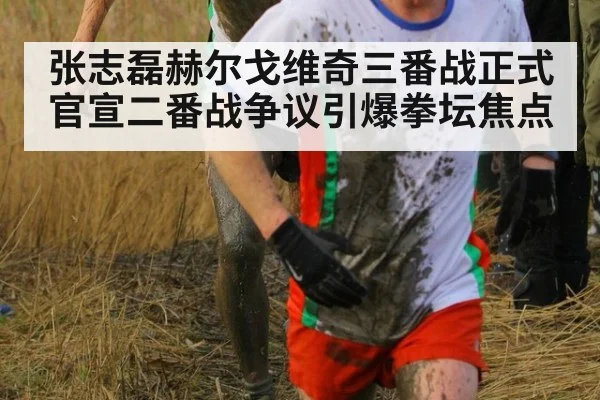 张志磊赫尔戈维奇三番战正式官宣二番战争议引爆拳坛焦点
